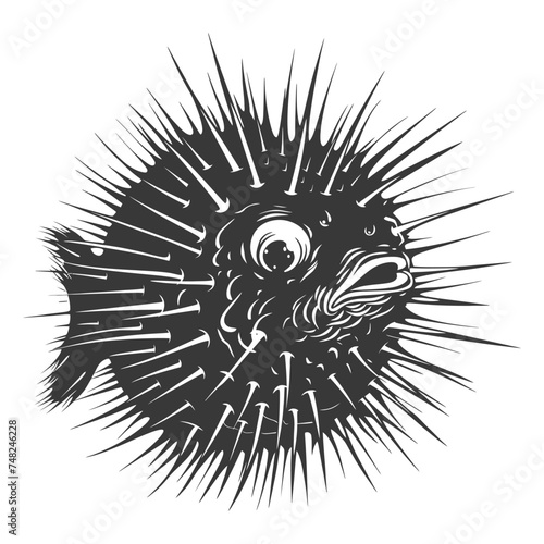 Silhouette pufferfish animal blow black color only full body