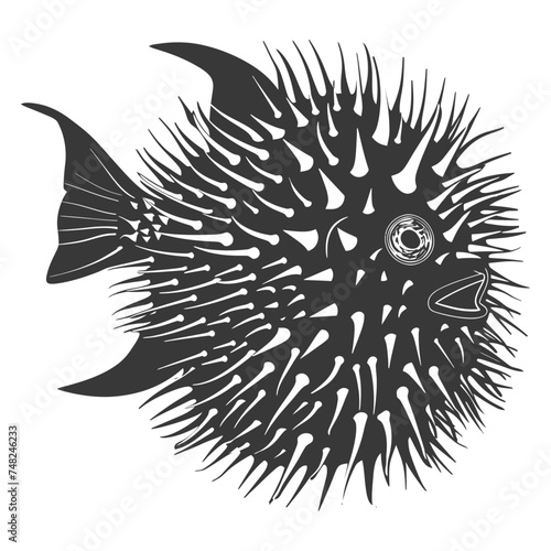 Silhouette pufferfish animal blow black color only full body