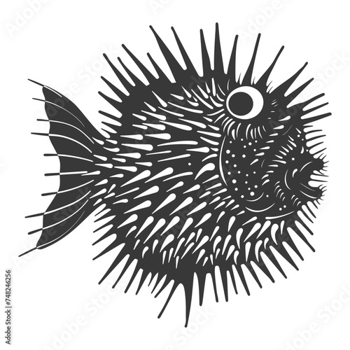 Silhouette pufferfish animal blow black color only full body