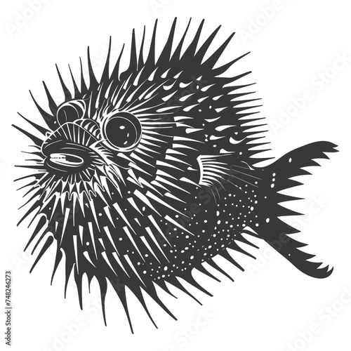 Silhouette pufferfish animal blow black color only full body