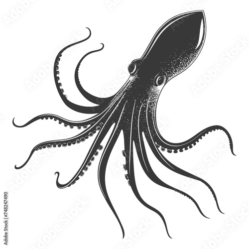 Silhouette squid animal black color only full body