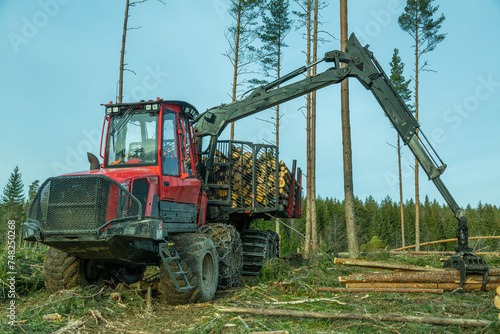 Logging equipment,forwarder loading loogs of pulpwood. photo