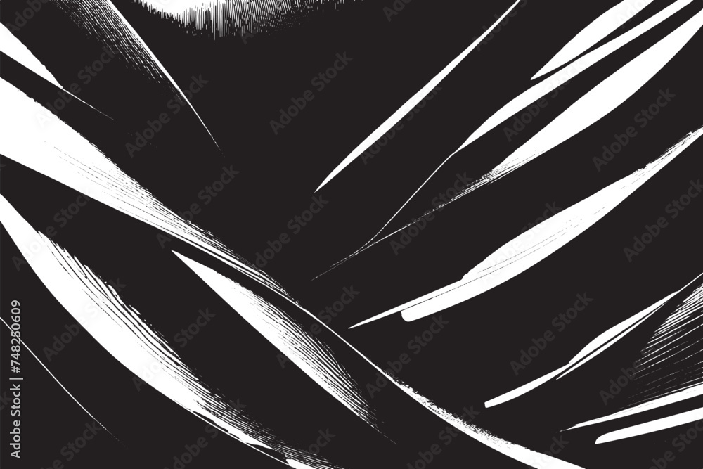 black texture on white background, vector image black and white