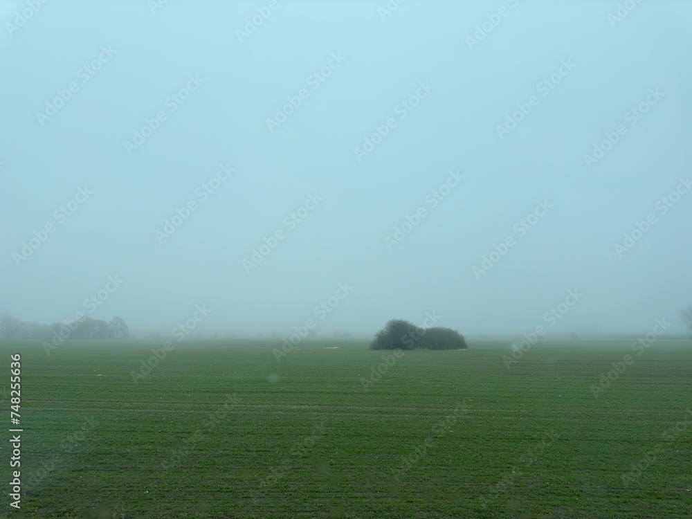 misty morning in the field misty morning in the field