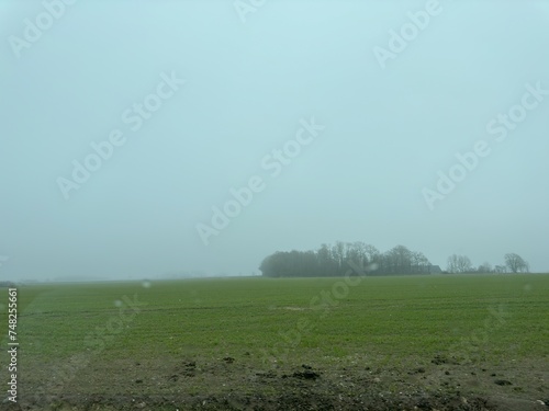 mist on the field