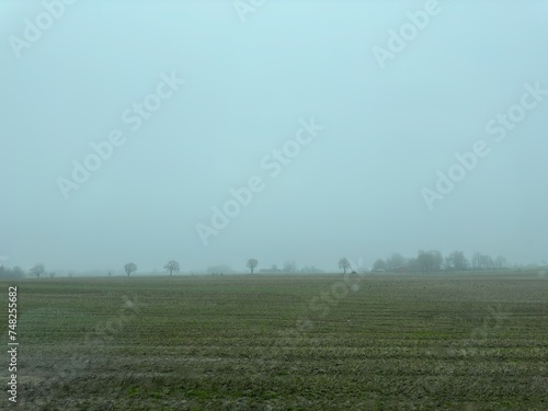 mist in the field