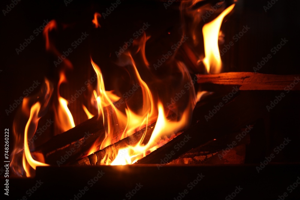 Bonfire with burning firewood on dark background Bonfire with burning firewood on dark background