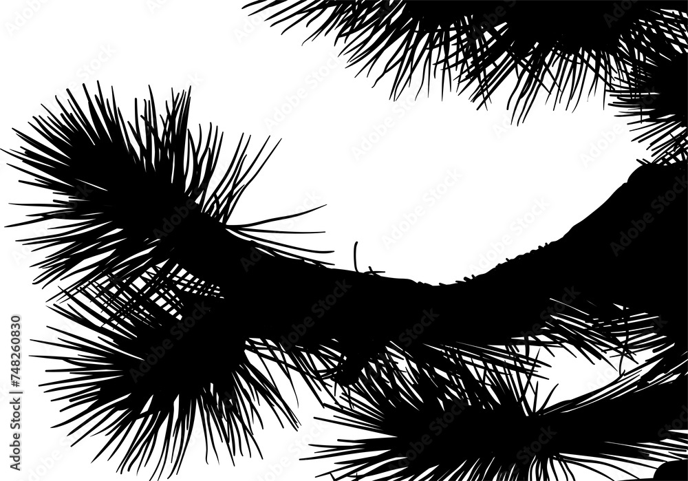 Obraz premium ramas, arboles, siluetas, vegetacion, roble, bosque, paisaje, vector, hojas, abstracto, sauce, tronco, malesa, pegatina