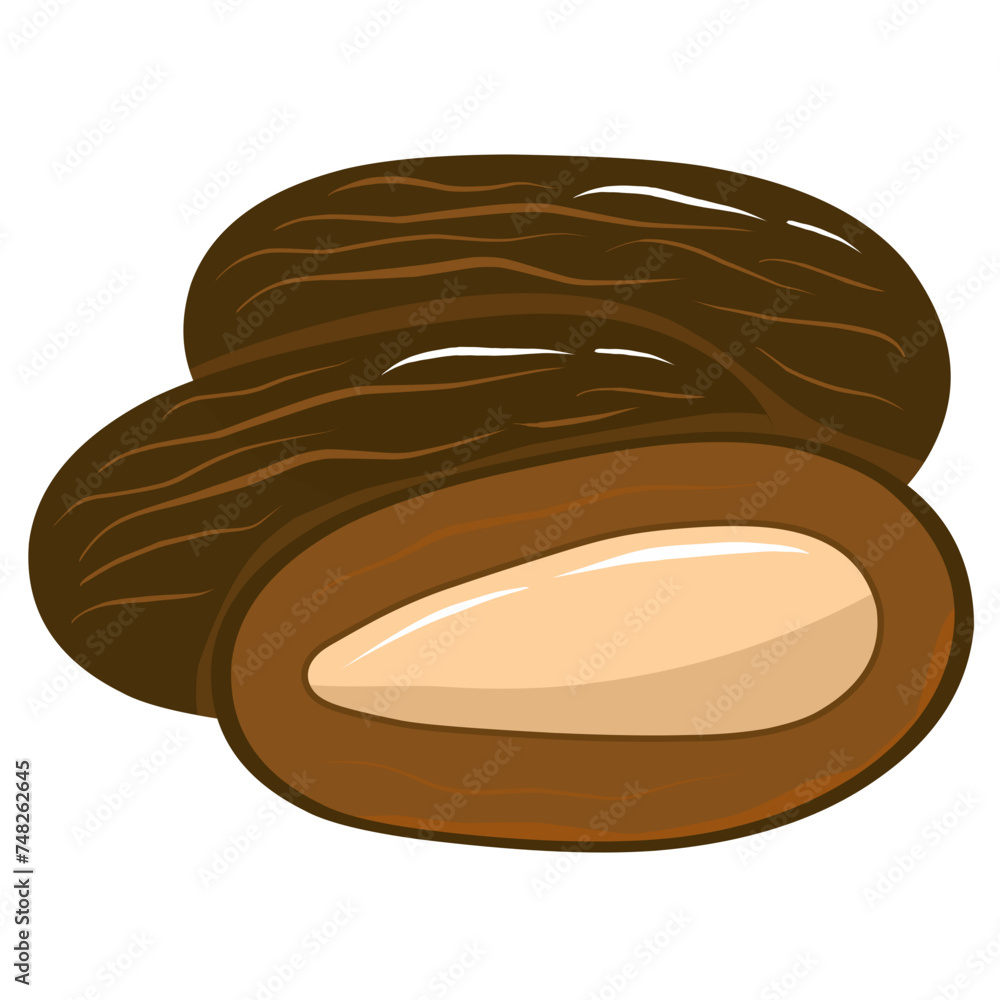 Obraz premium Dates Fruit Illustration
