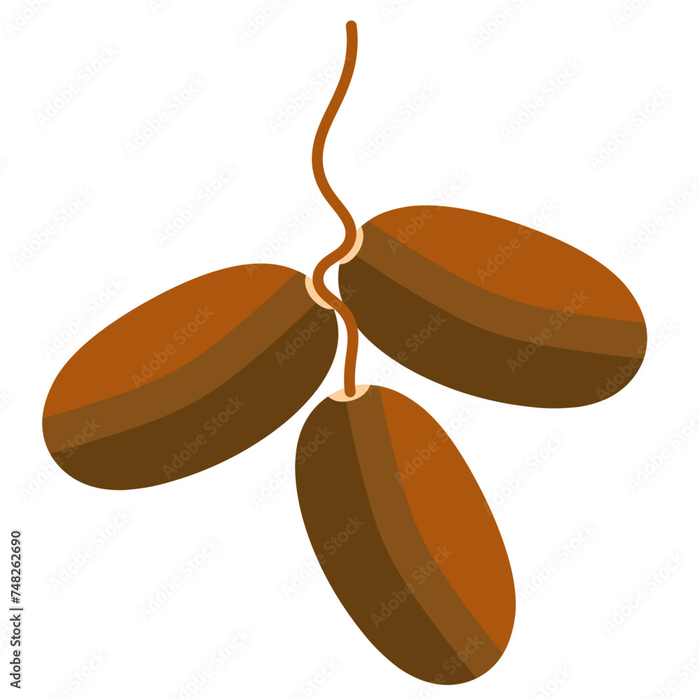 Obraz premium Dates Fruit Illustration