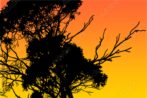 ramas, arboles, siluetas, vegetacion, roble, bosque, paisaje, vector, hojas, abstracto, sauce, tronco, malesa, pegatina