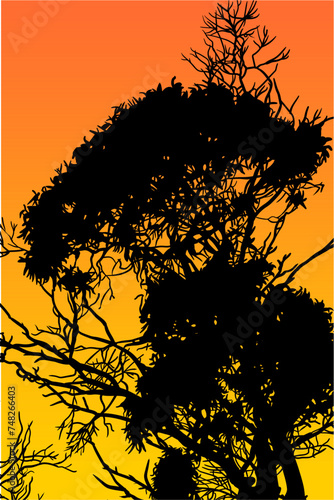 ramas, arboles, siluetas, vegetacion, roble, bosque, paisaje, vector, hojas, abstracto, sauce, tronco, malesa, pegatina