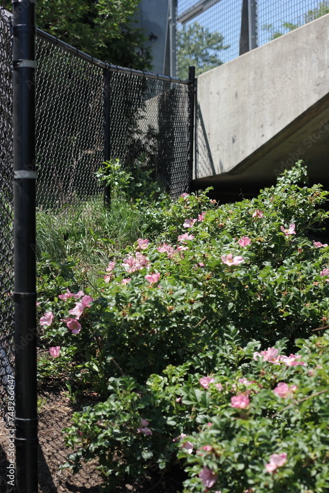 Fototapeta premium Old industrial fence.