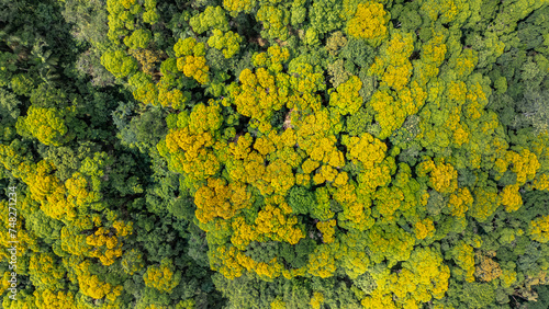 PETAR Mata Atlântica Parque Nacional Cavernas Ecoturismo Preservação Ambiental Natureza Trilhas Aventura Biodiversidade Turismo Sustentável Rios Cascata Flora Fauna Belezas Naturais Caminhadas Drone photo