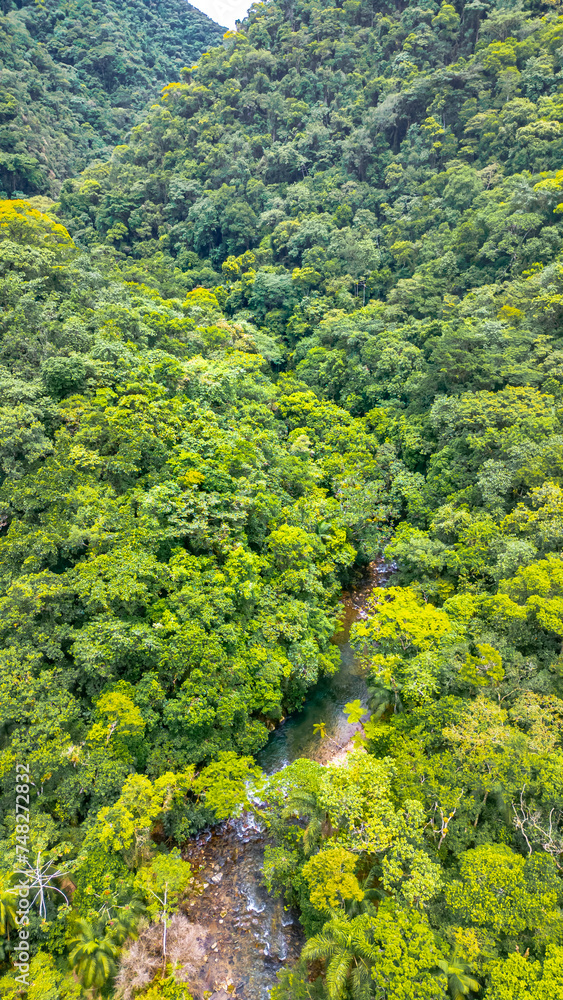 PETAR Mata Atlântica Parque Nacional Cavernas Ecoturismo Preservação Ambiental Natureza Trilhas Aventura Biodiversidade Turismo Sustentável Rios Cascata Flora Fauna Belezas Naturais Caminhadas Drone