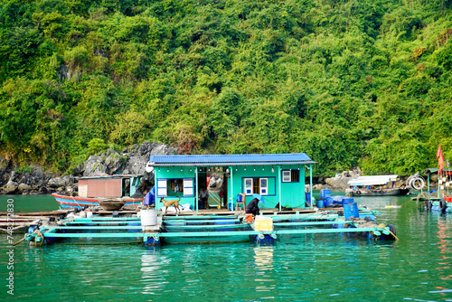 Famous floating fishing villages of Vietnam photo
