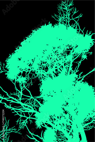 ramas, arboles, siluetas, vegetacion, roble, bosque, paisaje, vector, hojas, abstracto, sauce, tronco, malesa, pegatina