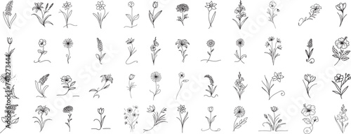 flowers and herbs doodle style, collection set, hand drawing one line #748273444