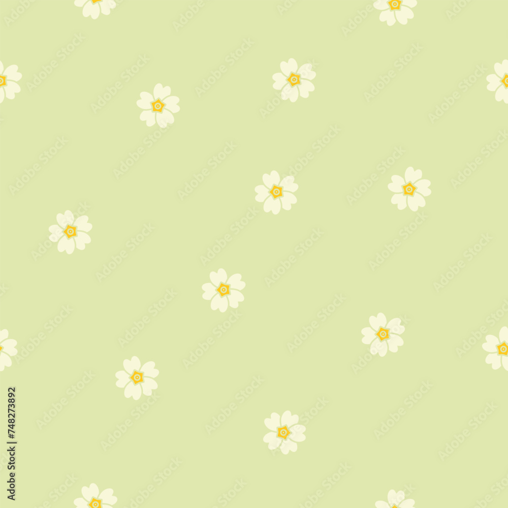 Spring Primula. Primrose. Primula vulgaris. Seamless background texture.