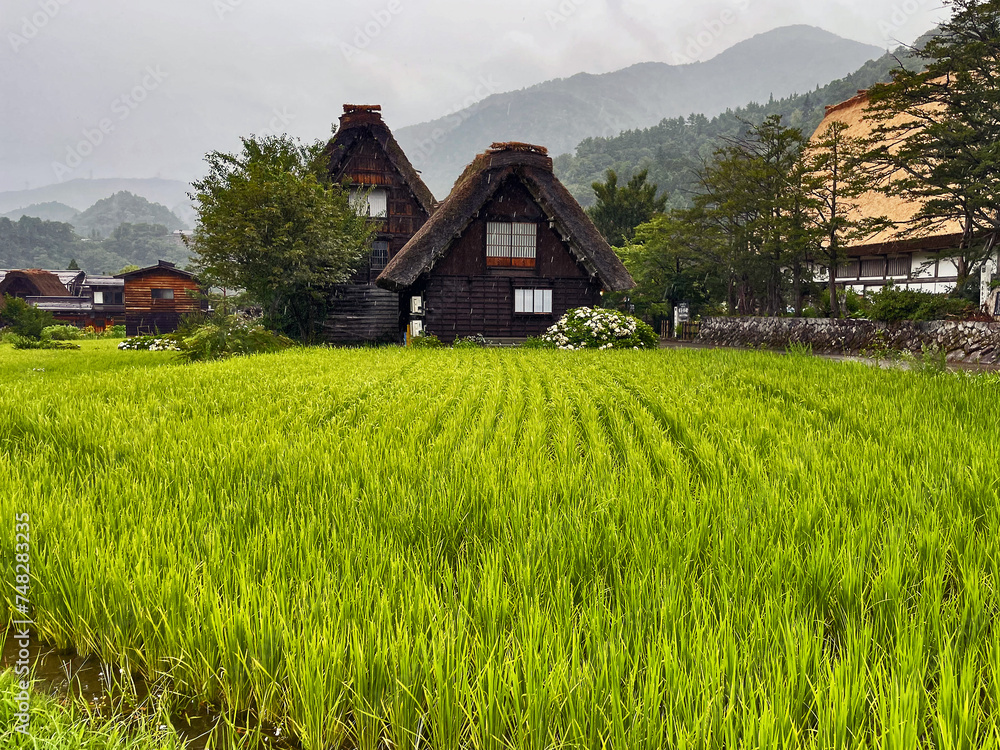 Rustic Splendor Houses: Embracing the Countryside of Shirakawa Go, Japan Rustic Splendor Houses: Embracing the Countryside of Shirakawa Go, Japan