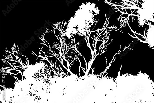 ramas, arboles, siluetas, vegetacion, roble, bosque, paisaje, vector, hojas, abstracto, sauce, tronco, malesa, pegatina
