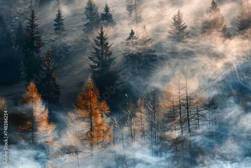 impressionism art nature forest green pine trees fog myst