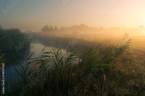 Sunrise over the river