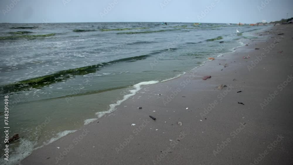 A view of green sea water caused by plankton bloom known to kill marine life, at Bang Saen beach in Chonburi, Thailand . February 28, 2024. A view of green sea water caused by plankton bloom known to kill marine life, at Bang Saen beach in Chonburi, Thailand . February 28, 2024.