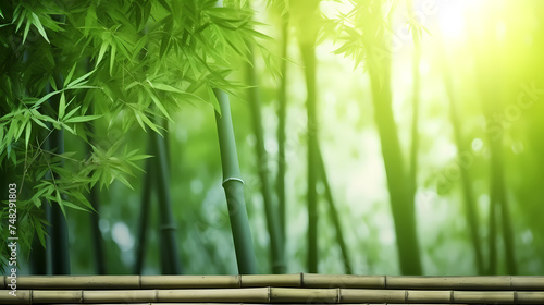 Bamboo forest, tall bamboo stalks, tranquil and Zen green background © jiejie