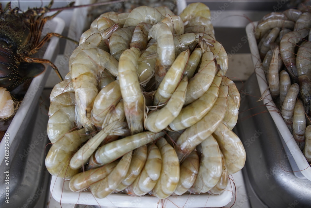 Crustaceans are invertebrate animals of the subphylum Crustacea a large, diverse group of mainly aquatic arthropods including decapods (shrimps, prawns, crabs, lobsters and crayfish). Fortaleza-Brazil Crustaceans are invertebrate animals of the subphylum Crustacea a large, diverse group of mainly aquatic arthropods including decapods (shrimps, prawns, crabs, lobsters and crayfish). Fortaleza-Brazil