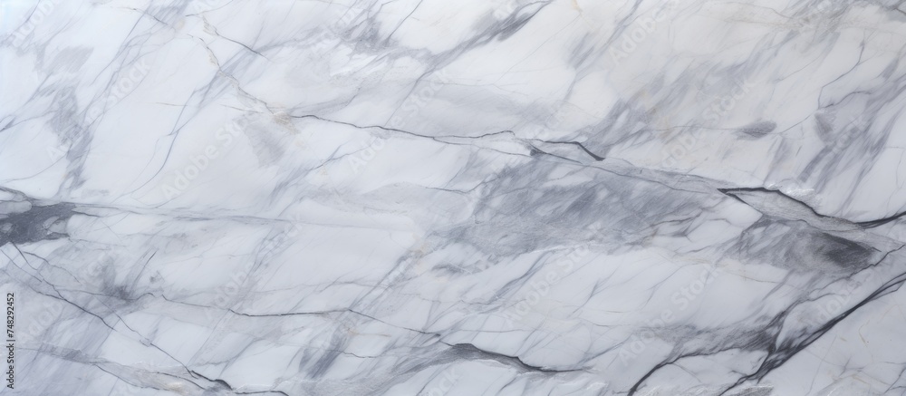 A detailed close-up view of the intricate patterns and veins in a piece of white Carrara marble. The smooth surface and unique natural variations are highlighted in this textured background.