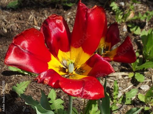 Signs of Spring!