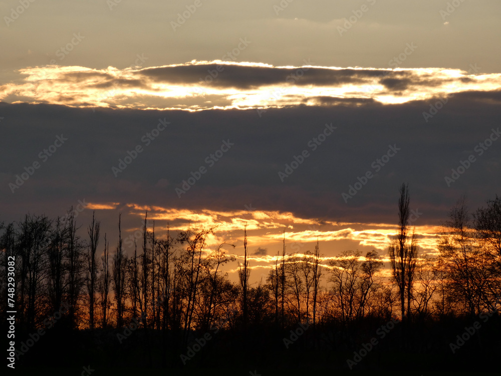 Obraz premium Sunset in Roggentin near Rostock (Baltic Sea, Germany)