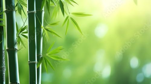 Green bamboo forest background, green bamboo swaying in the wind