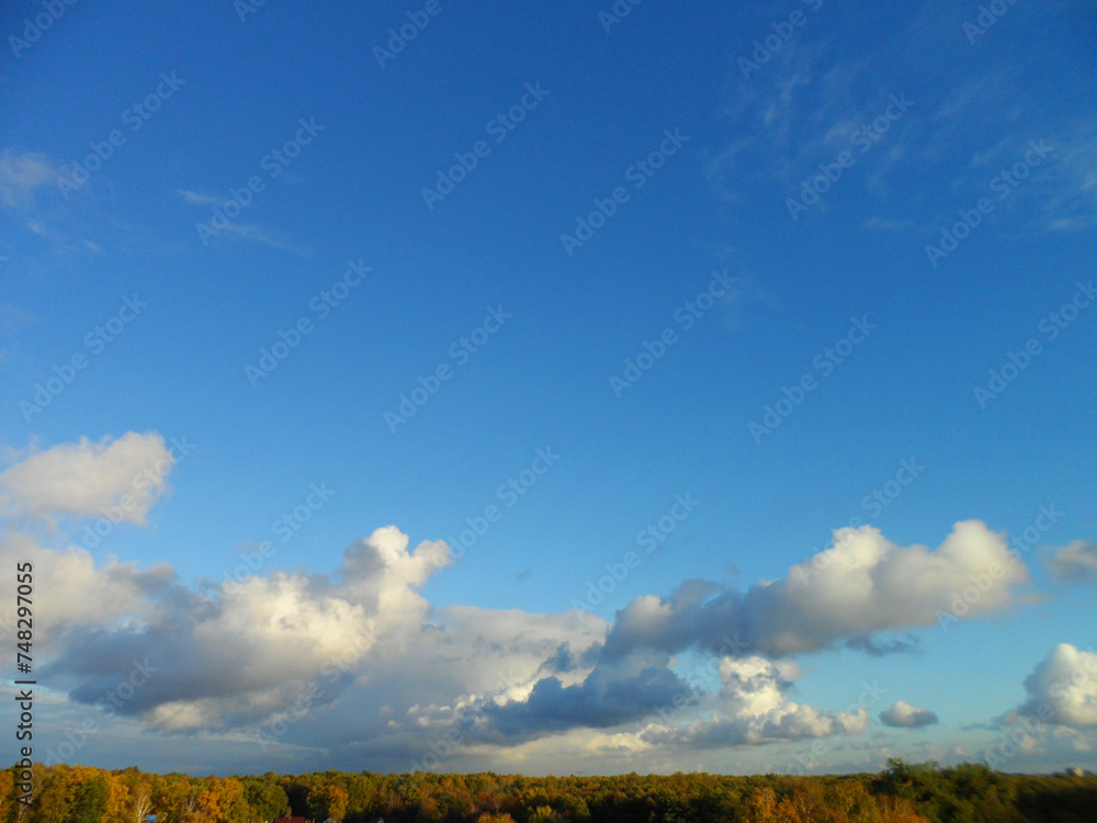 The sky over the forest in autumn