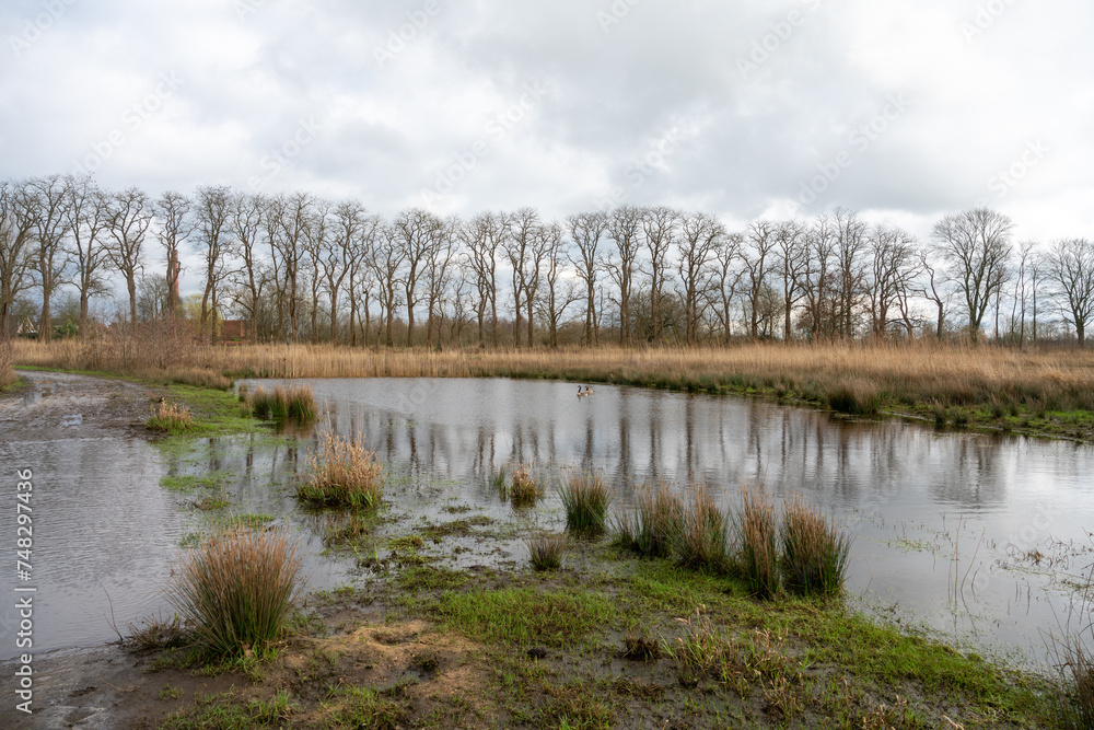 Low pond filled with flood water of river Leij in winter after heavy rain near Goirle in The Netherlands