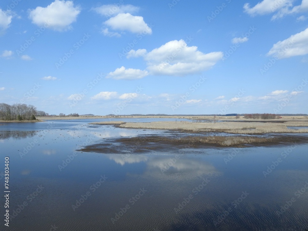 The beautiful scenery of the wetland landscape, with natural reflections of clouds upon the still water. Bombay Hook National Wildlife Refuge, Kent County, Delaware.  