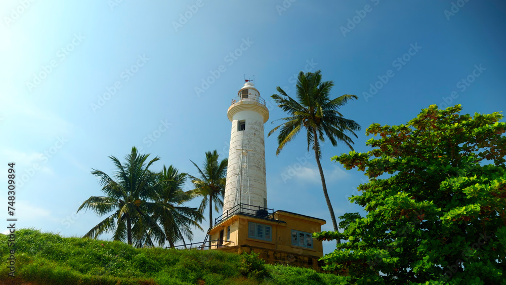 A lighthouse in the middle of a tropical jungle. Action. Green vegetation at summer resort.