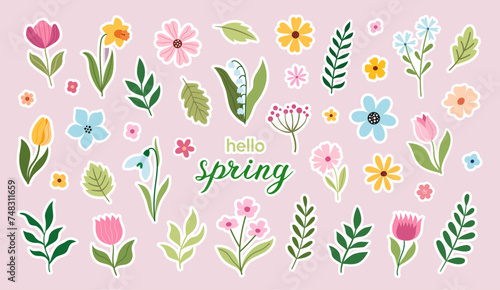 Floral spring vector stickers. Flower vector illustration