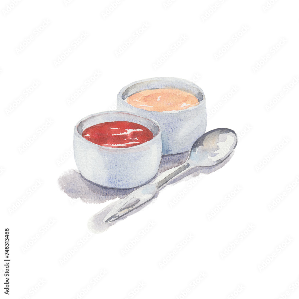 Two sauces, drawn in watercolors on paper Two sauces, drawn in watercolors on paper