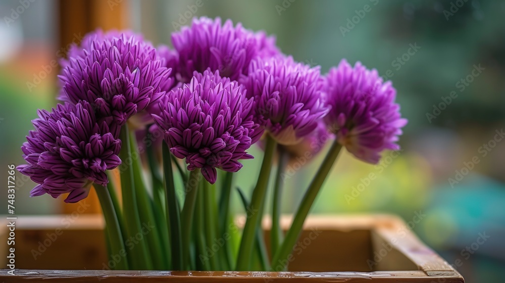 Fototapeta premium a close up of a bunch of purple flowers in a wooden box with a blurry window in the background.