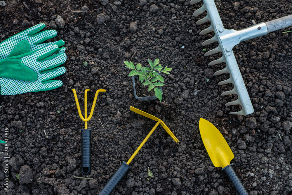 organic gardening background tools and seedling on earth organic gardening background tools and seedling on earth