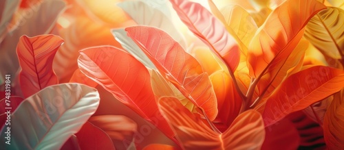 many colorful leaves in mixed colors
