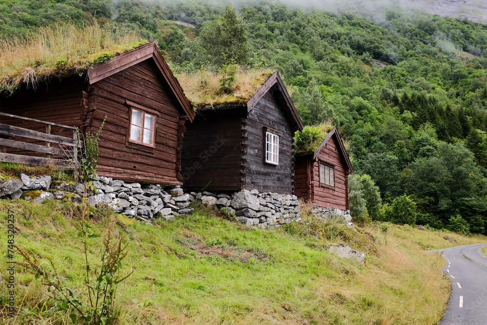 Traditional Norwegian houses made of wood, stand on foundation of stones. Grass grows on roof. Traditional village on Lovatnet lake.