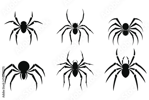 Spider black Silhouette vector. © gfx_shahed