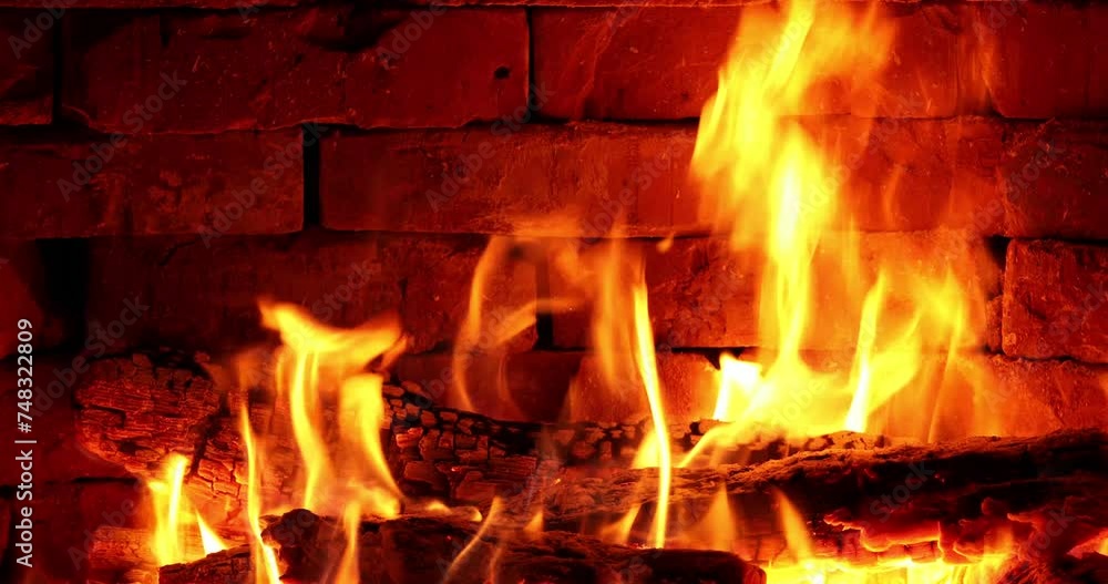 Cozy Hearth: A Night of Firelight
Cozy Hearth: A Night of Firelight