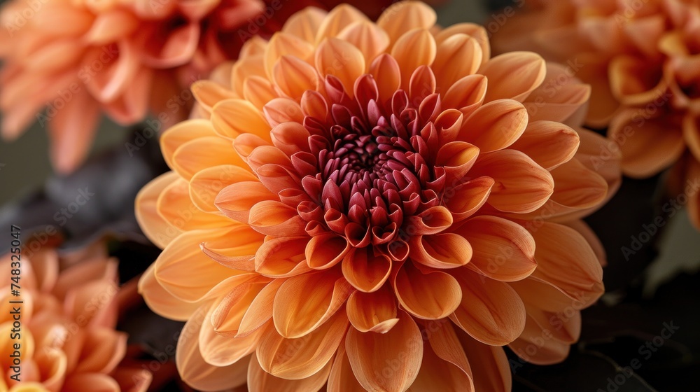 a close - up of a large orange flower with a green stem in the middle of the center of the flower. a close - up of a large orange flower with a green stem in the middle of the center of the flower.