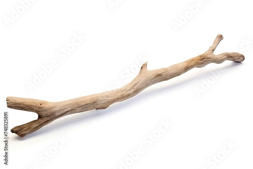 Driftwood Stick Isolated, Sea Wood Branch, Drift Wood