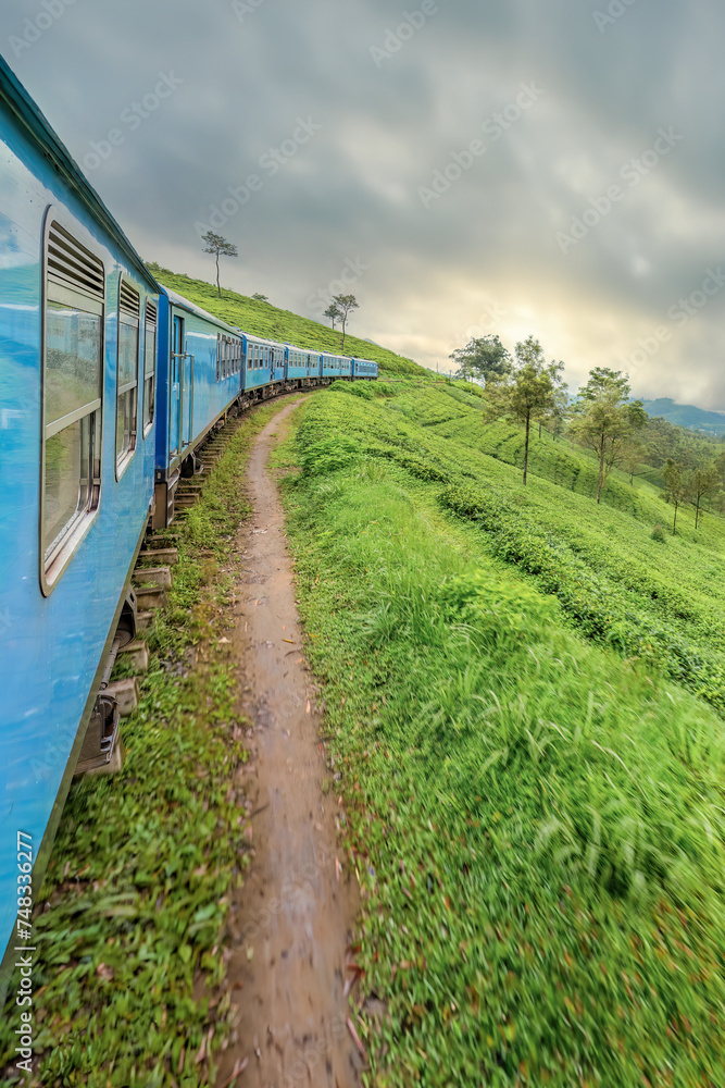 A train meanders through the tea plantations in the highlands of Sri Lanka	