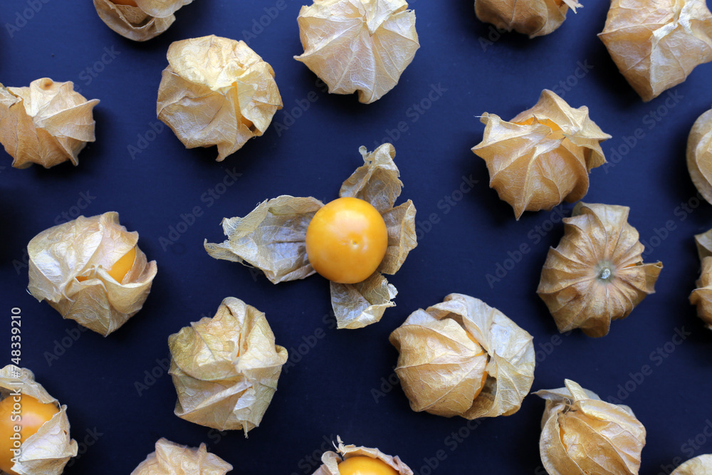 Fresh cape gooseberry. Delicious tropical fruit Fresh cape gooseberry. Delicious tropical fruit